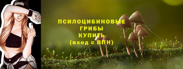 мет Вяземский