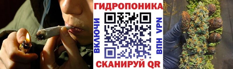 Бошки марихуана планчик  купить  сайты  hydra рабочий сайт  Чистополь 